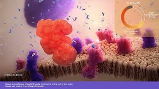 DAYVIGO® (lemborexant) Mechanism of Action for Insomnia