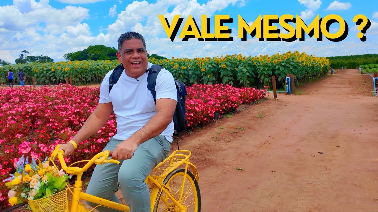 HOLAMBRA VALE A PENA EM BATE VOLTA DE 1 DIA OU É SUPERESTIMADA?