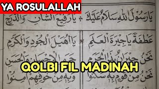 Download Lagu QOLBI FIL MADINAH Versi YA ROSULALLAH| Sholawat Maulid Diba Barzanji TERBARU Termudah Untuk Pemula MP3