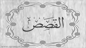 الشيخ توفيق الصائغ  - سورة القصص