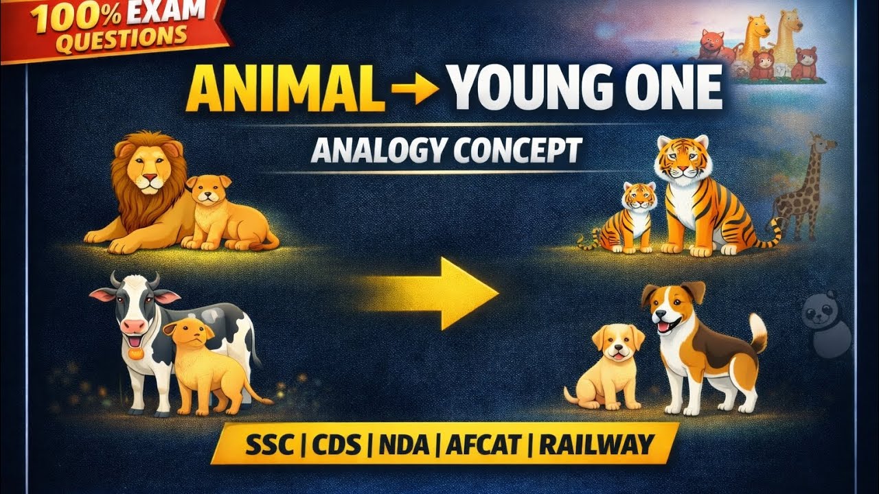 Analogy series animals and their young one