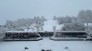 🔴LIVE HOLY MASS WITH GREGORIAN CHANT: Tuesday of the Holy Week | 03-31-2026