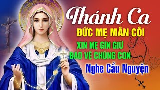 Nhạc Thánh Ca ĐỨC MẸ MÂN CÔI Hay Nhất 2023 | Nghe Cầu Nguyện Xin Mẹ Gìn Giữ, Bảo Vệ Chúng Con