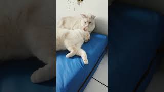 Dormir é bom, né!
