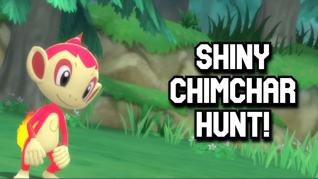 LIVE! Shiny Chimchar Hunt!