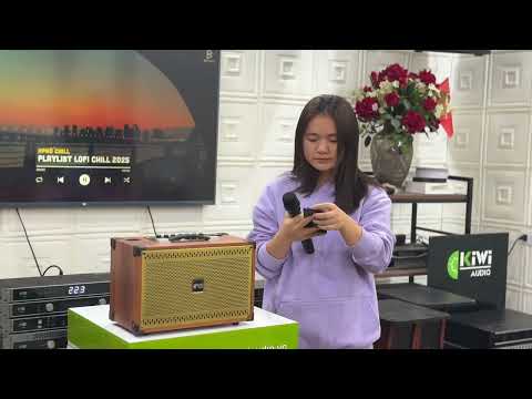 Loa xách tay hát Karaoke Kiwi XT208