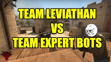 TRIGGER BOT OR WALLS!?!? - CSGO Team Leviathan VS Expert Bots