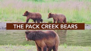 Exploring Pack Creek on Admiralty Island