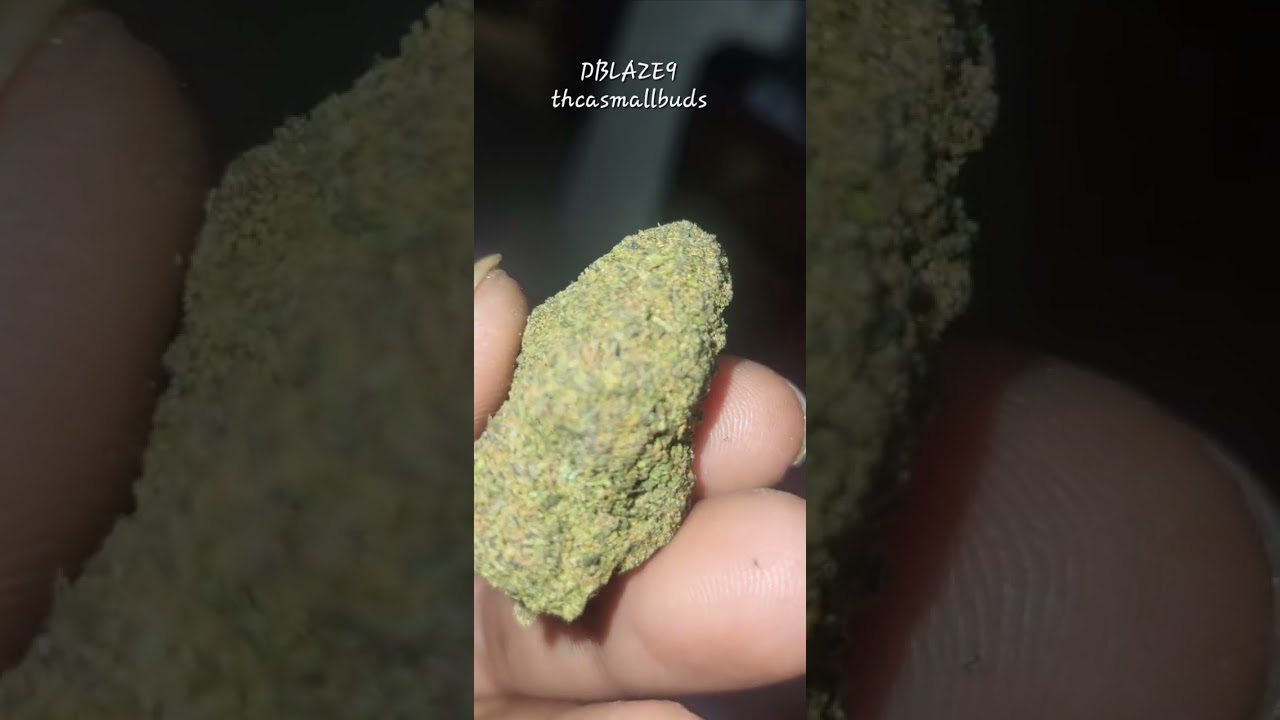 Candy Gas thcasmallbuds.com