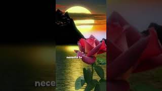 #musica #purocorazon #banda #corridos #regionalmexicano #amor #romanticas #rolitas
