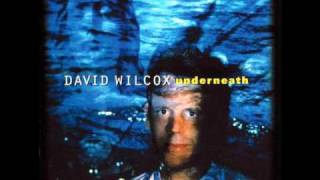 Watch David Wilcox Sex And Music video