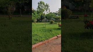 mizanur_rahman_azhari ? shortvideo vairalshort naturalbeauty ? shorts shortsfeed