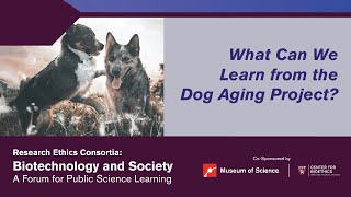 What Can We Learn from the Dog Aging Project? | Research Ethics Consortia