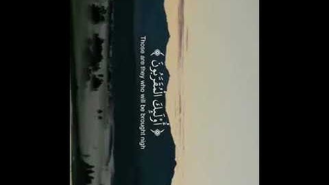 تلاوه هادئه تفيض جمالاً ارح بها قلبك ومسمعك✨