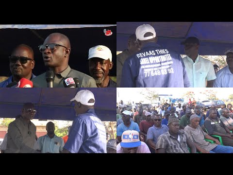 Thiès: Mayor Babacar Diop honored by REVAAS during a memorable meeting