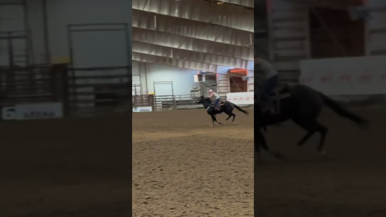 Billiejean pulling a 16.4 tn😍🙌🏻 