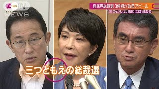 自民総裁選“派閥主導に反対”当選3回議員の本音(2021年9月12日)