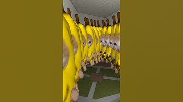 Banana Cat Nextbot Gmod Horde
