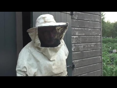 Imker Flip Valk over het houden van bijen