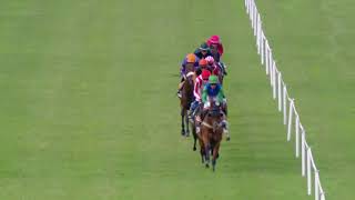 Vidéo de la course PMU PRIX D'ANGERS