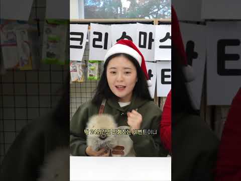 #부산애견샵 #고양이분양 #<strong>강아지무료분양</strong>