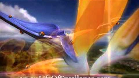 WHAT IS LIFE UNLEASH EXCELLENCE