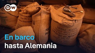 Café De Nicaragua Sustentable Y De Comercio Justo