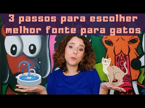 Vídeo: Como escolher a melhor fonte de água do gato