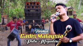 Gadis Malaysia - Herman // Putra Megantara Live Nabuh Bawah Taring Di Gontoran Sesaot