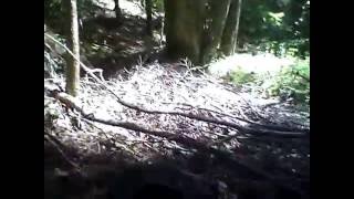 September 25 2016 trip around creek  4wheelr ZOOM0039