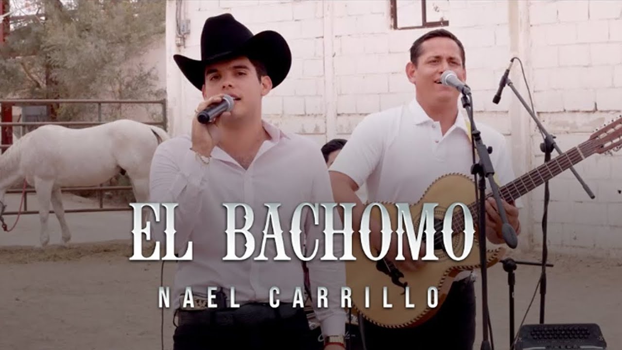 Nael Carrillo - El Bachomo [En Vivo]