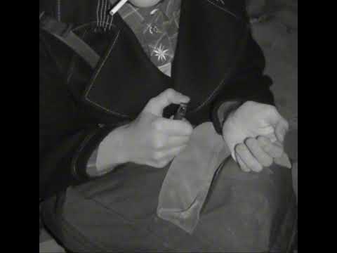 شيخ السرايا ابو نمر