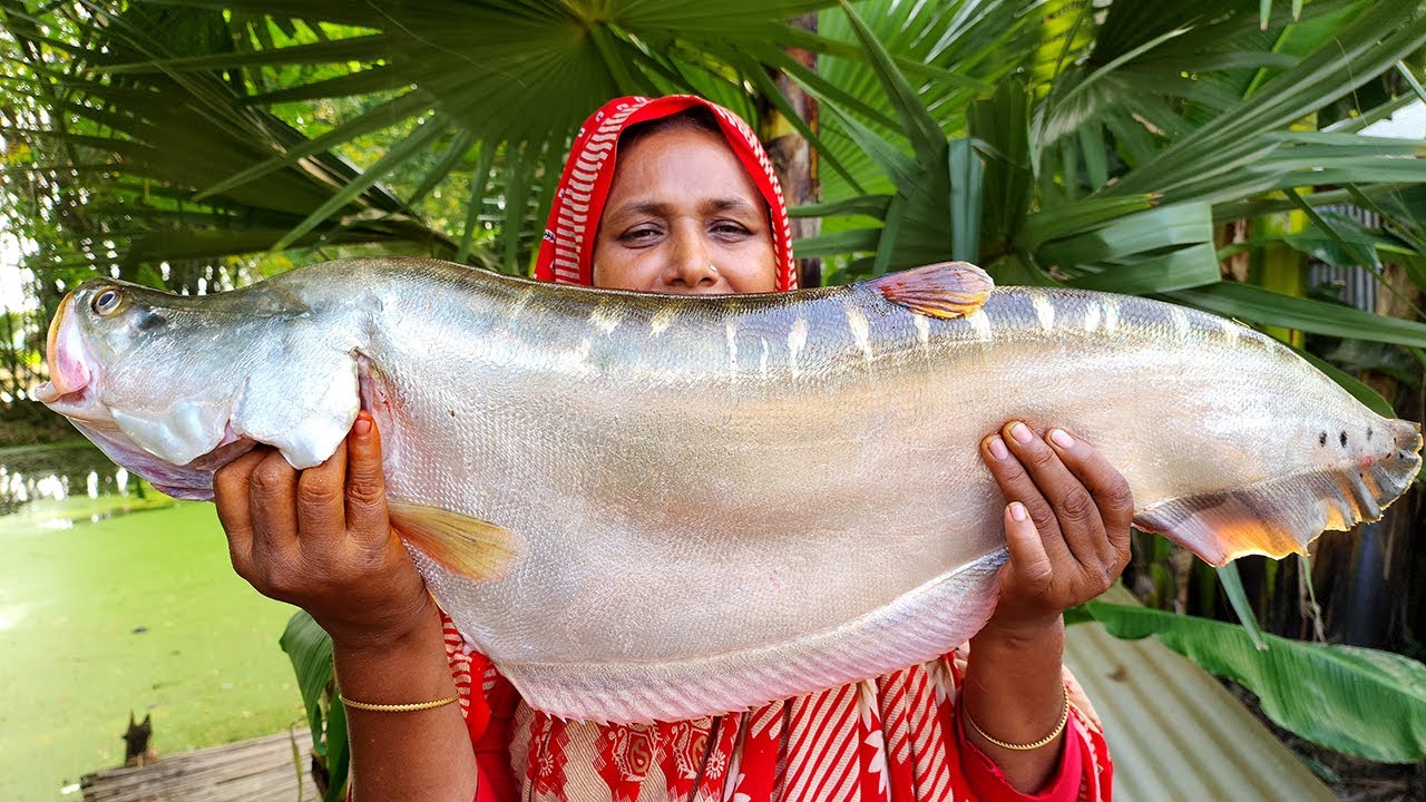 ৪kg সাইজের চিতল মাছের মুইঠ্যা রেসিপি BIG FISH Traditional Bengali Famous Chital Macher Muitha recipe