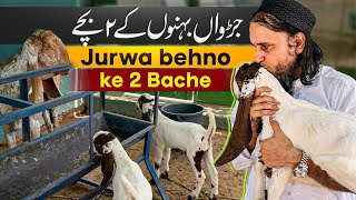 Jurwa Behno Ke 2 Bache | Mufti Tariq Masood  Vlog 