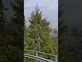 הנוף של סנט מוריץ ​#StMoritz #StMoritzSwitzerland​#StMoritzLake #LakeStMoritz