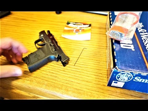 Bodyguard 380 Laser Replacement