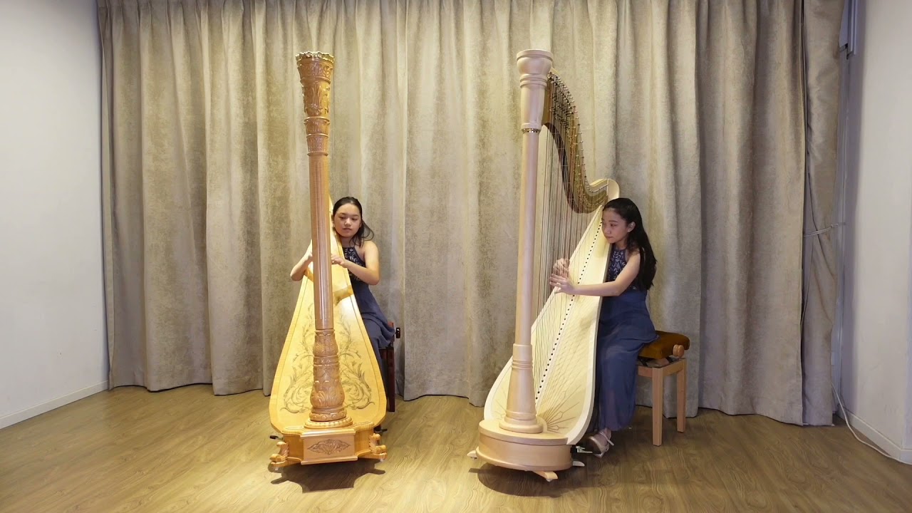 Smetana: Vltava (The Moldau)- Harp Duet