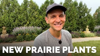 Planting New Plants in My Prairie Using a Power Planter + Trimming Rosemary + Staking a Tree