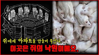 【심랑괴】쥐의 낙원을 만들어주자 그곳은 점점 지옥으로 변했고 멸망으로 치달았다. - 쥐의 낙원 실험. [실제] screenshot 3