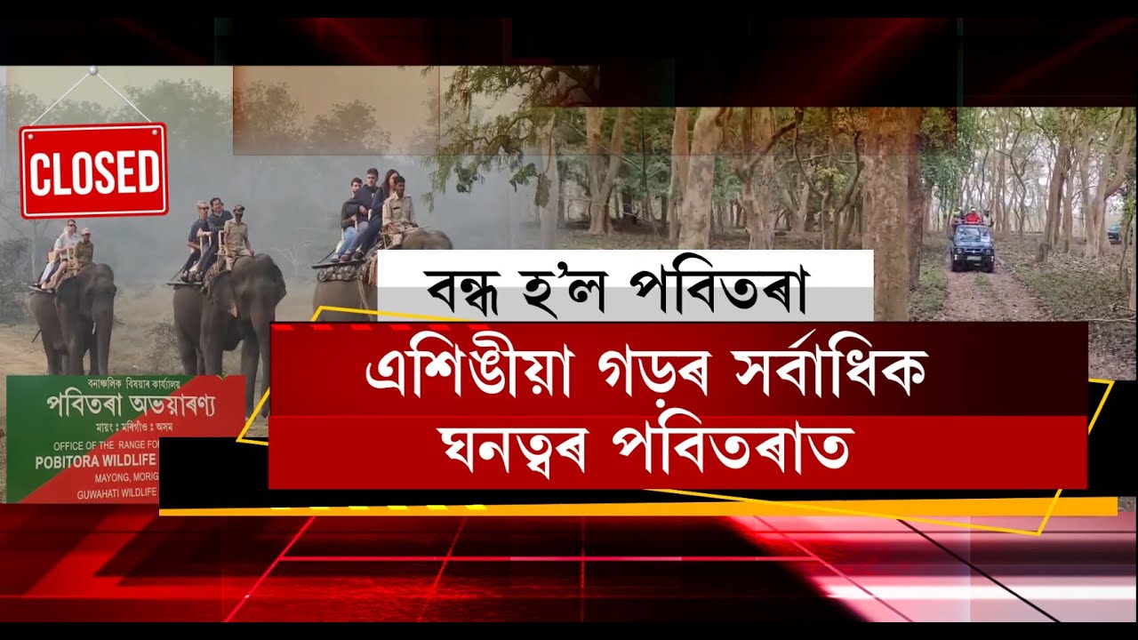 পৰ্যটকৰ বাবে বন্ধ হ’ল পবিতৰা অভয়াৰণ্য