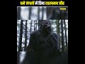 🤯 घने जंगलों में छिपा रहस्यमई जीव 🦍Mystery of Bigfoot Part-2 😱🤯 #shorts