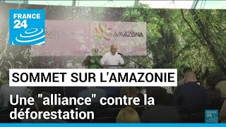 Sommet sur l'Amazonie : une 