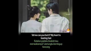 Zhao Lusi (赵露思) - I Have Someone I Like (我有喜欢的人了) Ost. Hidden Love Chi | Pinyin | Indo Lyrics