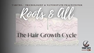 Roots All The Hair Growth Cycle