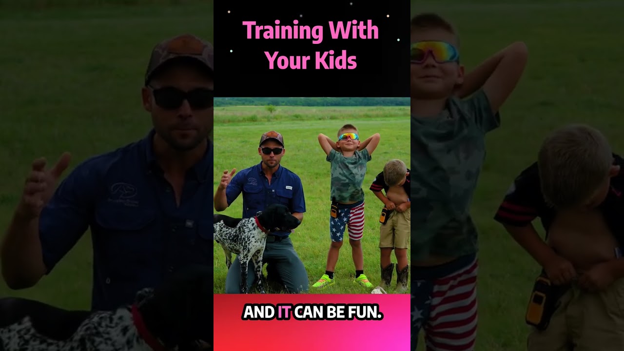 Encouraging Respect Between Dogs And Kids