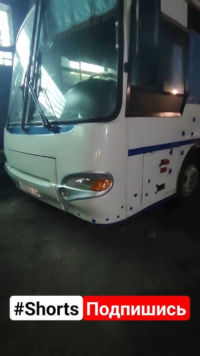 Пазик/#пазик/#паз/#автобус/#bus/#road/#truck/#водитель/#shorts/#шок/# ...