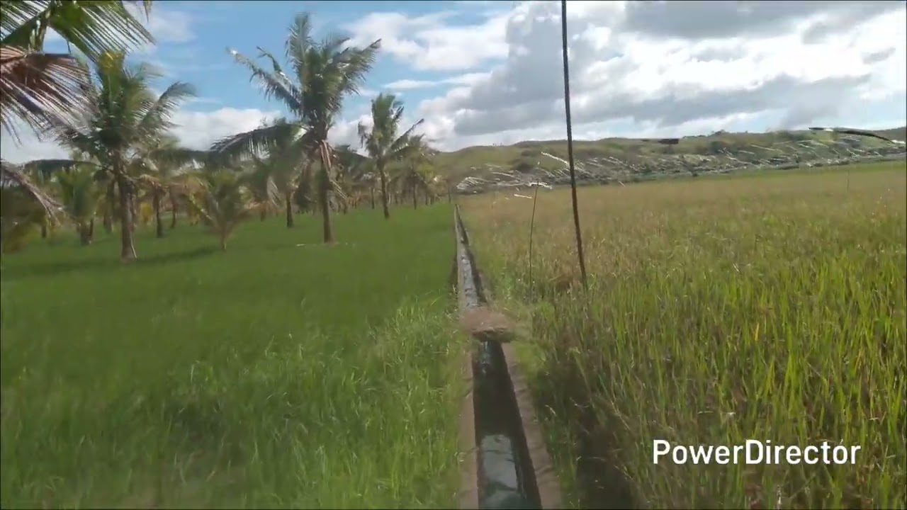 ARAW ARAW POPON TATAYU SAPALAYAN PARASA PAMILYA