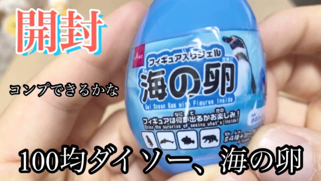 ダイソー 海の卵 100均で買った卵 コンプできるかな ペリーさん 100均スタイル