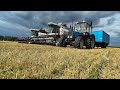 Harvesting in Russia/Getreideernte in Russland