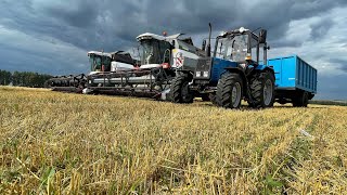 Harvesting in Russia/Getreideernte in Russland